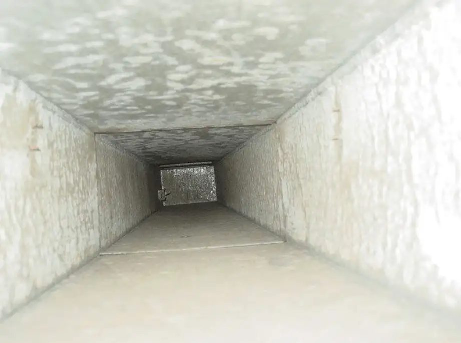 Duct interior after cleaning