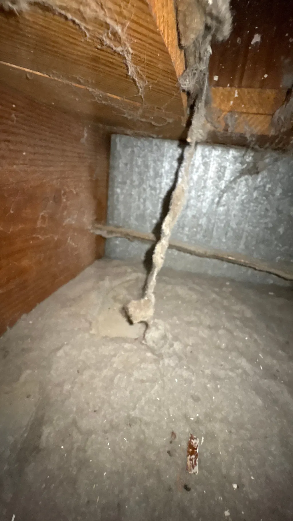 Inside a customer's ductwork before Superior's cleaning — job 1