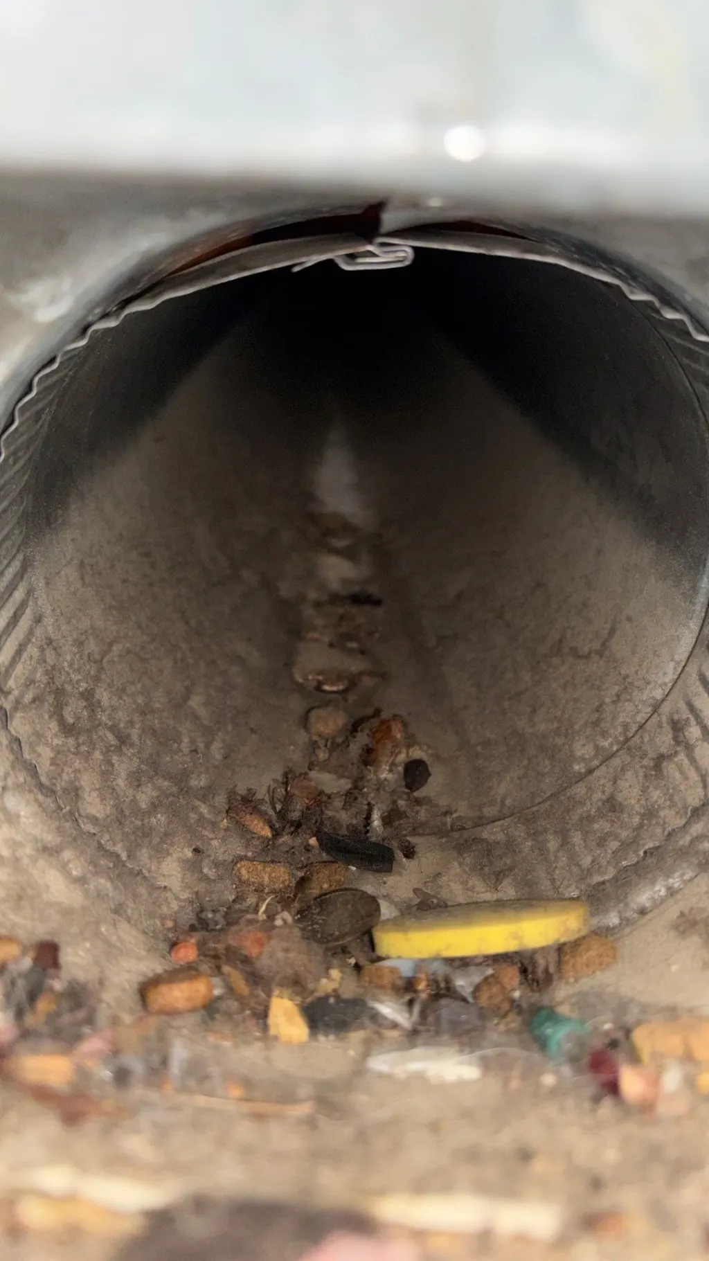 Inside a customer's ductwork before Superior's cleaning — job 5