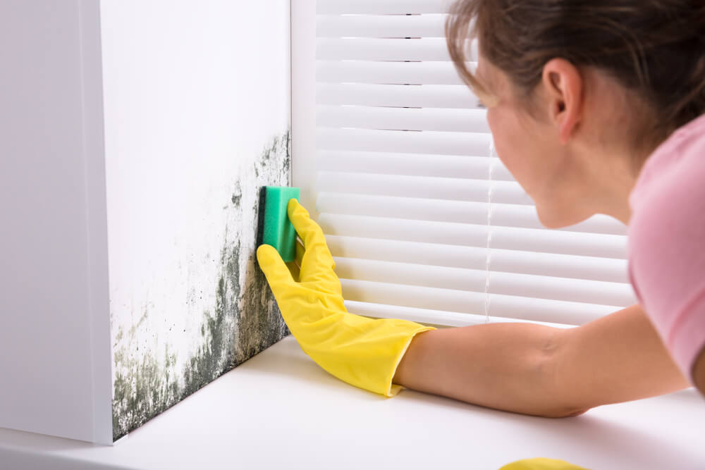 woman wearing yellow gloves cleaning mold off wall with sponge