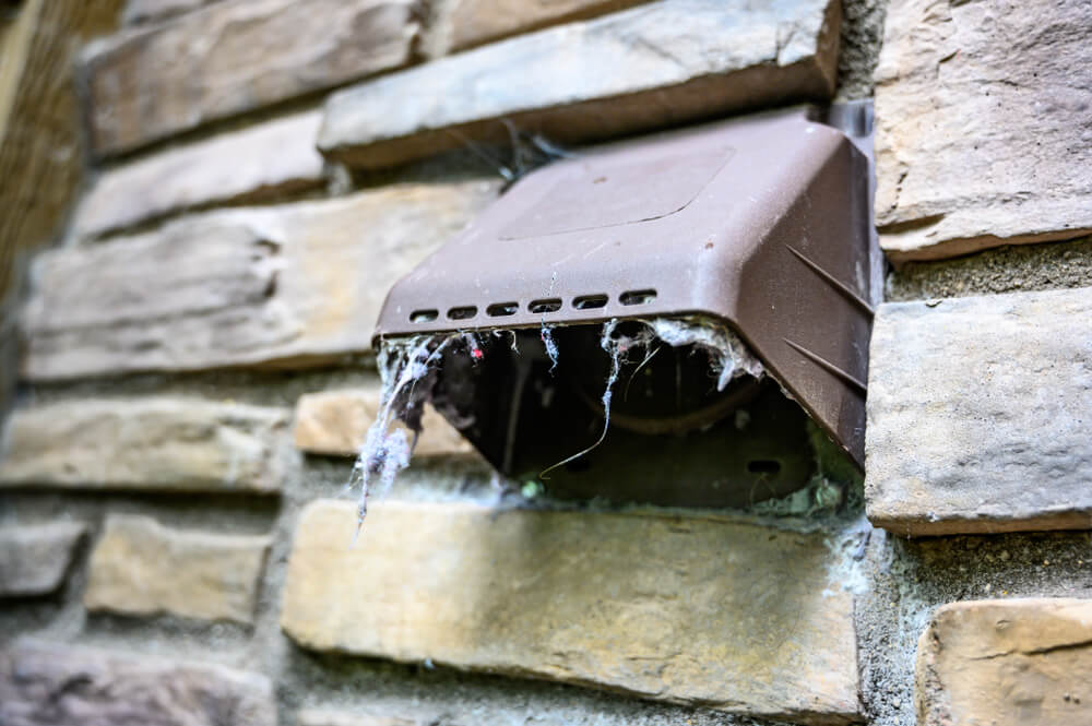 dryer lint and dust hanging outside surface of vent