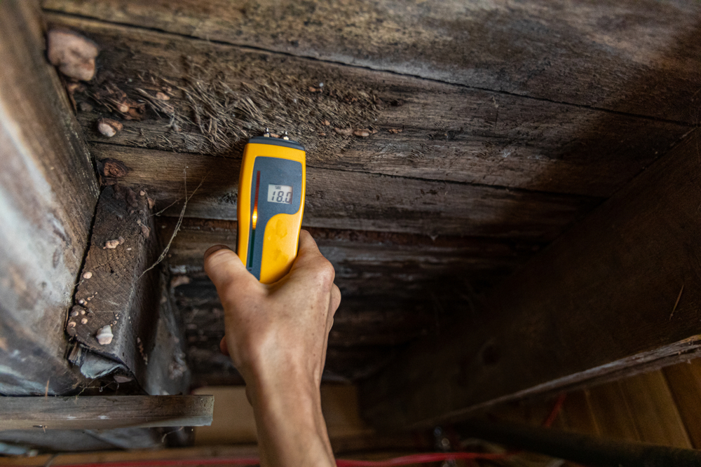 Inspection of a residential home for mold